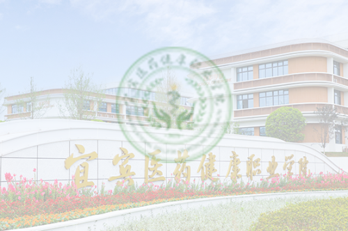 宜宾医药健康职业学院2025年报考指南